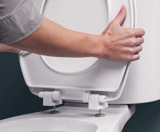 Toilet Seat Cover Replacement